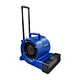 Carpet dryer